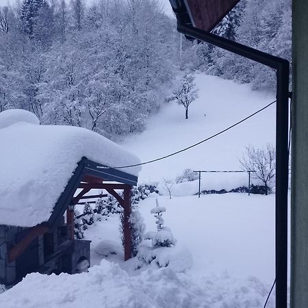 Apartament Zakatek Pienin Grywald Zewnętrze zdjęcie