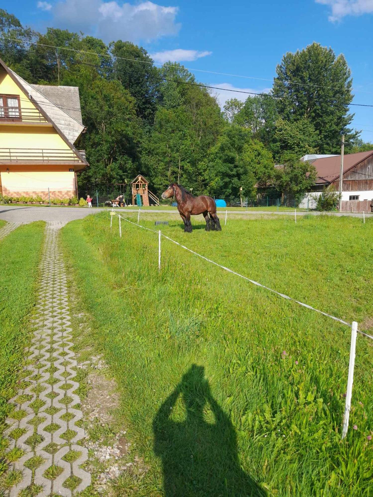Apartament Zakatek Pienin Grywald Zewnętrze zdjęcie